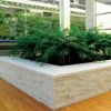 Immagine di RIVESTIMENTO PIETRA NATURALE SCAGLIA BIANCA 15x60 CM SPESSORE 20 MM BEB