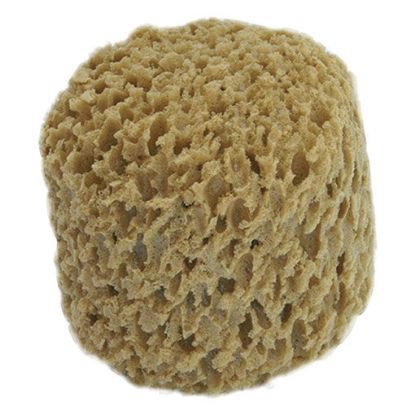 Immagine di SPUGNA SINTETICO DECO TONDA