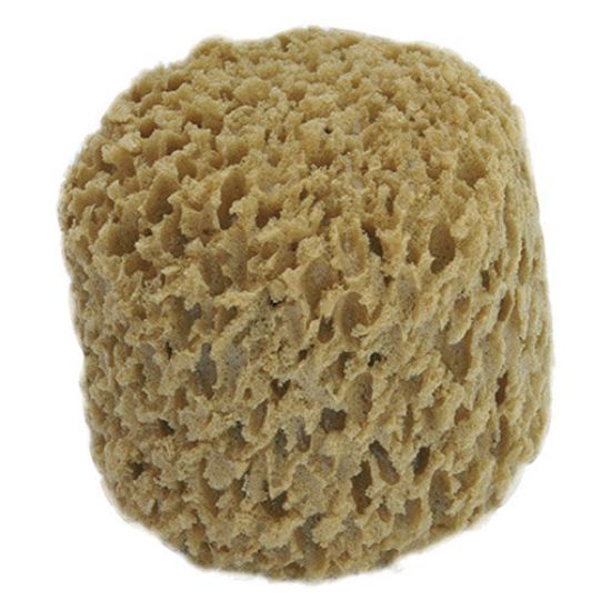 Immagine di SPUGNA SINTETICO DECO TONDA