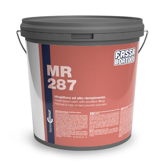Immagine di IDROPITTURA MR287 MEDIUM 13,2 LT (ACRILICO) FASSA