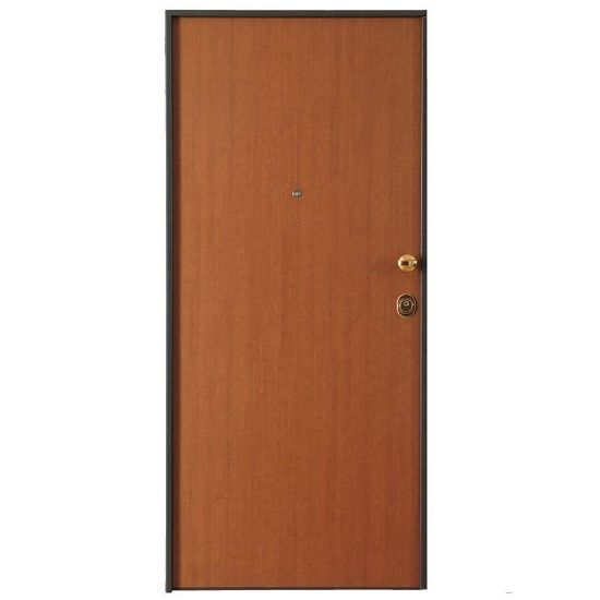 Immagine di PORTONE BLINDATO SENZA CONTROTELAIO 1 ANTA SX CL.3 2100X900 MM RIV.INT/EST.TANGANICA MEDIO CON FERRAMENTA BRONZO PD