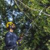 Immagine di DECESPUGLIATORE A SCOPPIO 33CC COMBI B33PS 4IN1 MCCULLOCH