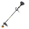 Immagine di DECESPUGLIATORE A SCOPPIO 33CC B33P MCCULLOCH