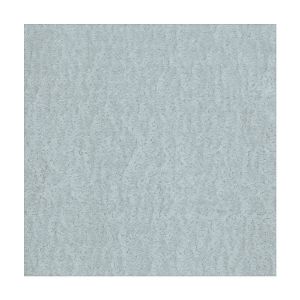 Immagine di LAMIERA ACCIAIO ZINCATO LISCIA SPESSORE 0,5 MM x 600 MM x 1000 MM