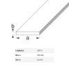 Immagine di BARRA PIATTA 20 MM x 5 MM ALLUMINIO ARGENTO LUNGHEZZA 2 MT
