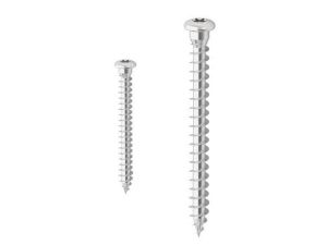 Immagine di VITE INOX TESTA BOMBATA IMPRONTA TORX Ø 5X50 MM CONFEZIONE 200 PZ