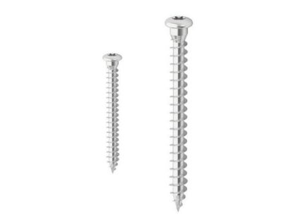 Immagine di VITE INOX TESTA BOMBATA IMPRONTA TORX Ø 5x50 MM CONFEZIONE 200 PZ