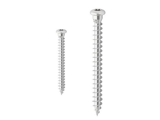 Immagine di VITE INOX TESTA BOMBATA IMPRONTA TORX Ø 5X40 MM CONFEZIONE 500 PZ