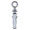 Immagine di TASSELLO CON OCCHIOLO Ø 16x65 MM - M10 CONFEZIONE DA 25 PZ