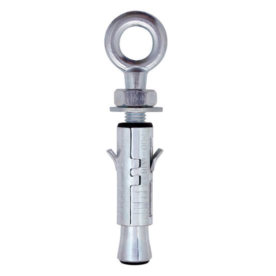 Immagine di TASSELLO CON OCCHIOLO Ø 16x65 MM - M10 CONFEZIONE DA 25 PZ
