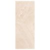 Immagine di RIVESTIMENTO CERAMICA BICOTTURA HABITA BEIGE 20x50 CM SPESSORE 7 MM HERBERIA