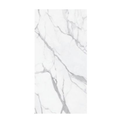 Immagine di PAVIMENTO GRES PORCELLANATO RETTIFICATO COLLEZIONE STATUARIO BIANCO LEVIGATO 60X120 CM SPESSORE 9,5 MM R9 CERDOMUS