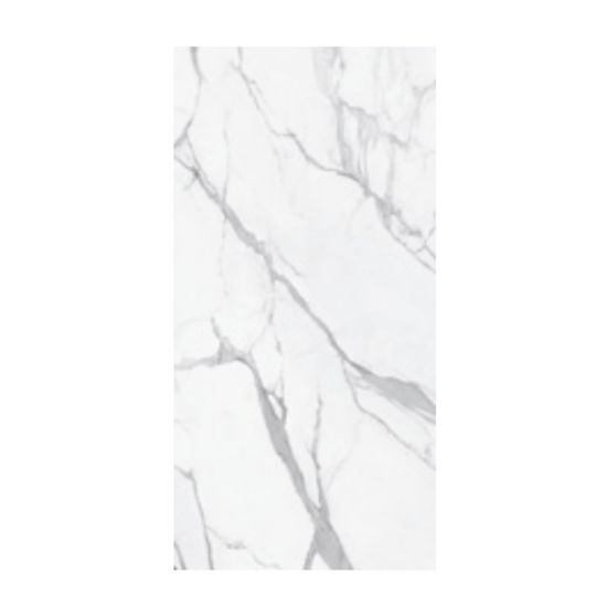 Immagine di PAVIMENTO GRES PORCELLANATO RETTIFICATO STATUARIO BIANCO LEVIGATO 60x120 CM SPESSORE 9,5 MM R9 CERDOMUS