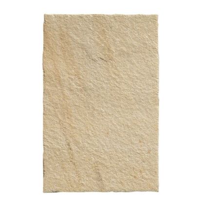 Immagine di PAVIMENTO GRES PORCELLANATO COLLEZIONE BIOARCH BARGE GIALLA 20X30,5 CM SPESSORE 9 MM R11 PANARIA
