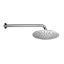 Immagine di SOFFIONE TONDO CON BRACCIO TONDO PRINCESS DIAMETRO 20 CM CROMO QD ITALIA