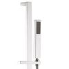 Immagine di SALISCENDI QUADRO SLIDING-BAR CROMO QD ITALIA