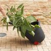 Immagine di CARRELLO MULTIUSO DA GIARDINO 62 LTDIMENSIONI 53x59x90H CM NERO-ROSSO