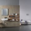 Immagine di LAVABO SELNOVA 60x48 CM INSTALLAZIONE SOSPESA O SU COLONNA MONOFORO CERAMICA BIANCA GEBERIT