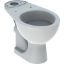 Immagine di VASO COLIBRI' DUO MONOBLOCCO SCARICO PARETE CERAMICA BIANCA GEBERIT (SENZA SEDILE)