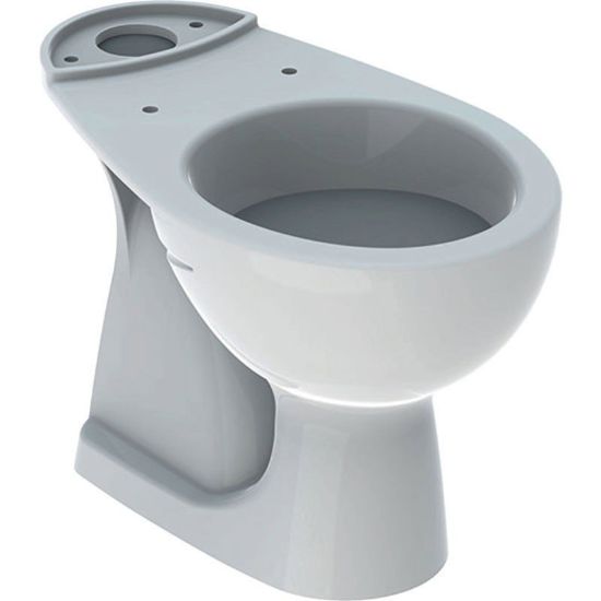 Immagine di VASO COLIBRI  DUO MONOBLOCCO SCARICO PAVIMENTO GEBERIT (SENZA SEDILE)