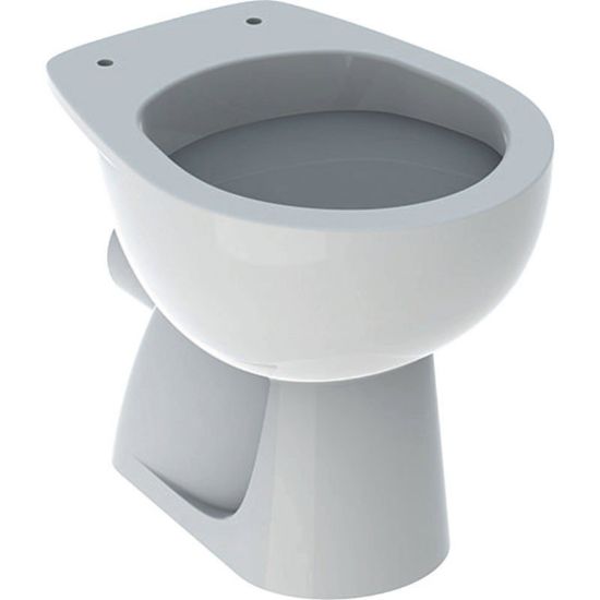 Immagine di VASO COLIBRI A TERRA DISTANZIATO SCARICO PARETE GEBERIT (SENZA SEDILE)