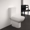 Immagine di COPRIWATER I.LIFE A CHIUSURA NORMALE BIANCO LUCIDO IDEAL STANDARD