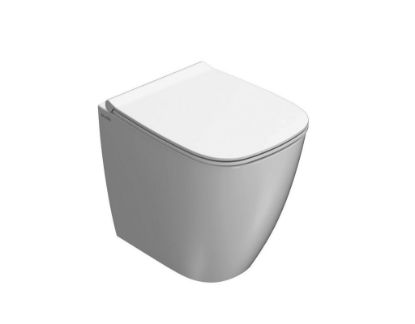 Immagine di VASO GENESIS FILO PARETE SENZA BRIDA 50X36 CM GLOBO (SENZA SEDILE)