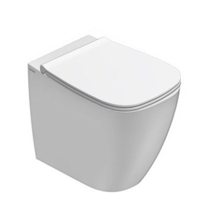 Immagine di VASO GENESIS FILO PARETE SENZA BRIDA 55X36 CM GLOBO (SENZA SEDILE)