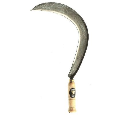 Immagine di FALCIOLA TOSCANA/SICILIA N.3