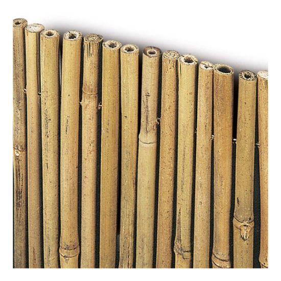 Immagine di ARELLA CANNE DIAMETRO 15 MM H150-L300 CM