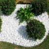 Immagine di CIOTTOLO CARRARA 25/40 MM IN SACCO