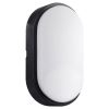 Immagine di PLAFONIERA LED OVALE NERA 14W CENTURY