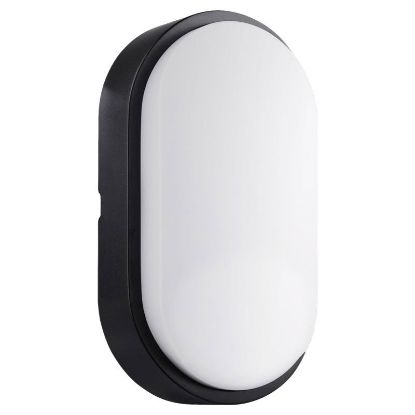 Immagine di PLAFONIERA LED OVALE NERA 14W CENTURY