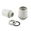 Immagine di RACCORDO TUBO-SCATOLA IP65 Ø 32 MM BLISTER 5 PZ