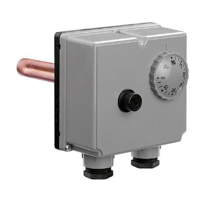 Immagine di BITERMOSTATO A IMMERSIONE0-90 CALEFFI