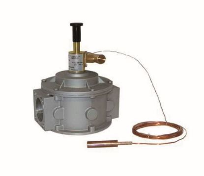 Immagine di VALVOLA INTERCETTAZIONE COMBUSTIBILE 2