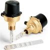 Immagine di FLUSSOSTATO Ø 1" CALEFFI