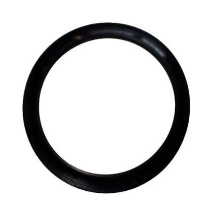 Immagine di GUARNIZIONE PER RESISTENZA FLANGIATA SCALDABAGNO