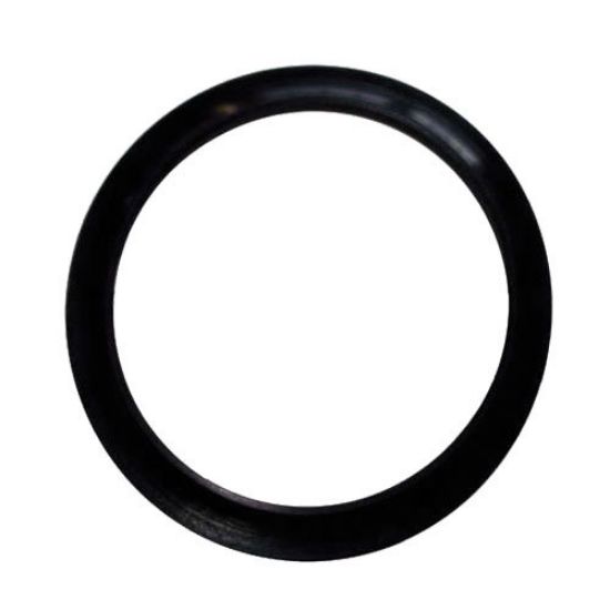 Immagine di GUARNIZIONE PER RESISTENZA FLANGIATA SCALDABAGNO