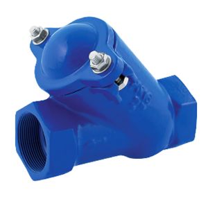 Immagine di VALVOLA DI RITEGNO A PALLA Ø 2 1/2" GHISA