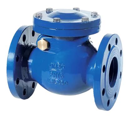 Immagine di VALVOLA A CAPLET FLANGIATA DN 80 GHISA
