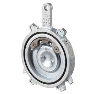 Immagine di VALVOLA A CAPLET WAFER FLANGIATA DN 65 GHISA