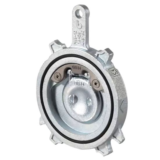 Immagine di VALVOLA A CAPLET WAFER FLANGIATA DN 100 GHISA