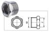 Immagine di RIDUZIONE MASCHIO/FEMMINA ZINCATA Ø 1/2"x1/4"