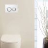 Immagine di OMEGA20 ROUND PLACCA DI COMANDO DOPPIO TASTO BIANCO/CROMATO/BIANCO PER CASSETTA OMEGA GEBERIT