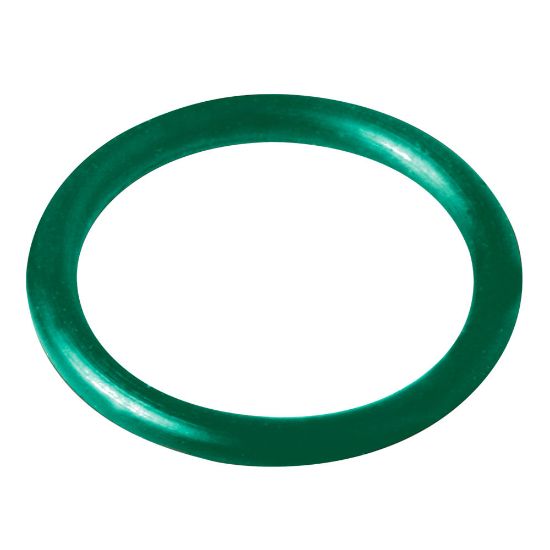 Immagine di O-RING FKM001 VERDE PER ALTE TEMPERATURE Ø 28 MM