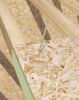 Immagine di VITE TESTA LARGA PORTANTE PER LEGNO Ø 8x240 MM ACCIAIO AL CARBONIO CONFEZIONE 50 PZ