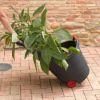 Immagine di CARRELLO MULTIUSO DA GIARDINO 62 LTDIMENSIONI 53x59x90H CM NERO-ROSSO