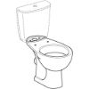 Immagine di VASO COLIBRI' DUO MONOBLOCCO SCARICO PARETE CERAMICA BIANCA GEBERIT (SENZA SEDILE)