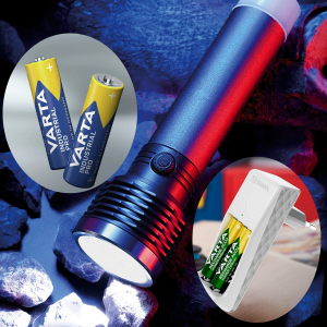 Immagine per la categoria TORCE E BATTERIE